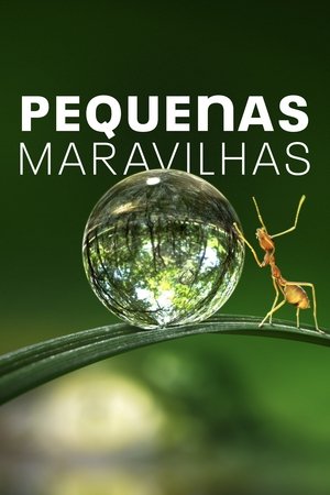 Apró világ poszter