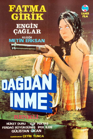 Dağdan İnme poszter