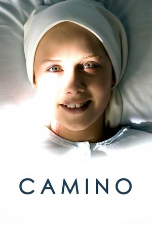 Camino poszter