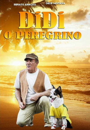 Didi, o Peregrino poszter