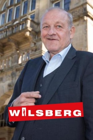 Wilsberg poszter