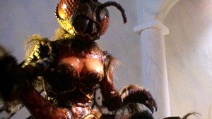 The Wasp Woman háttérkép