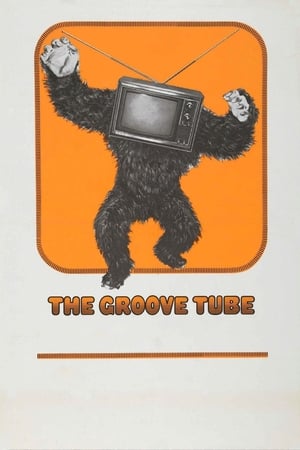 The Groove Tube poszter