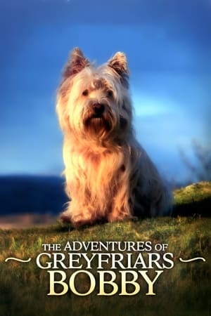 The Adventures of Greyfriars Bobby poszter