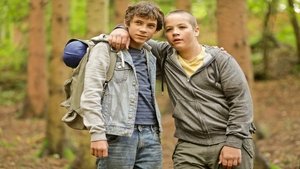 Nachtwald háttérkép