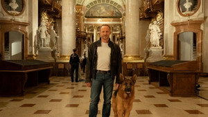 Rex - Vienna Calling kép