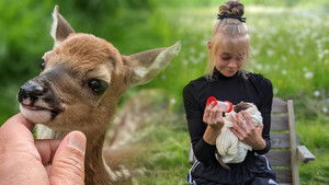 Rakkaudesta villieläimiin kép