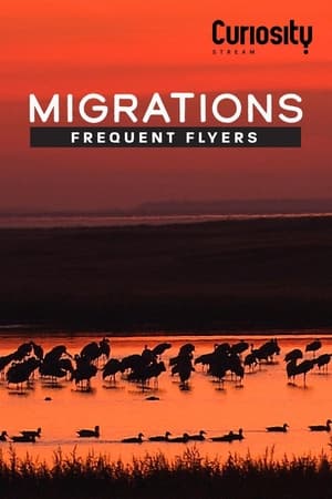 Migrations: Frequent Flyers