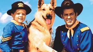 The Adventures of Rin Tin Tin kép