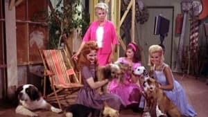 Petticoat Junction 3. évad Ep.3 3. epizód