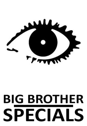 Big Brother