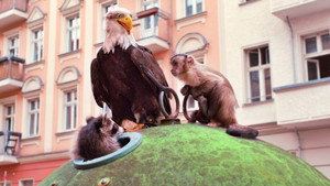 Akiko, der fliegende Affe háttérkép
