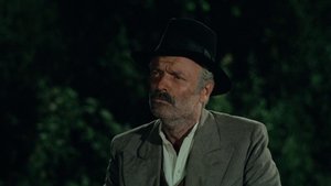 Szent Lőrinc éjszakája háttérkép