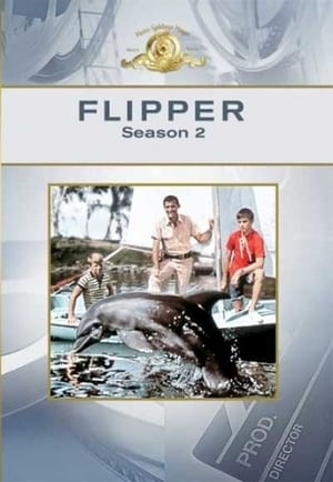 Flipper