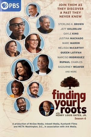 Finding Your Roots poszter