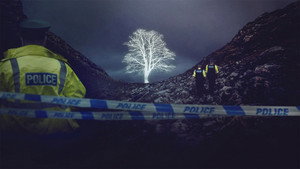 The Sycamore Gap Mystery kép