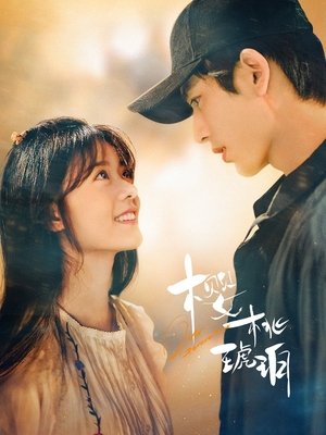 樱桃琥珀 poszter