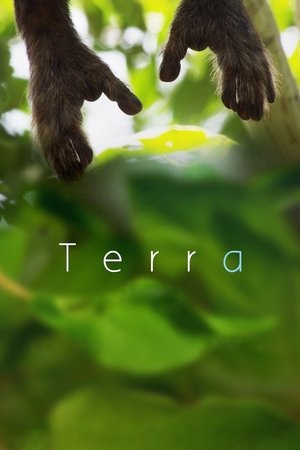 Terra poszter
