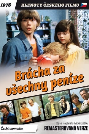 Brácha za všechny peníze poszter