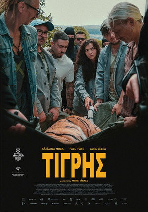 Tigru poszter