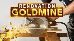 Renovation Goldmine kép