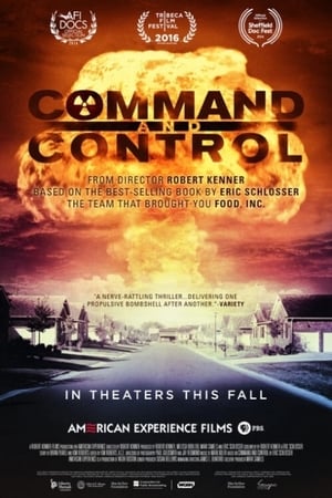 Command and Control poszter