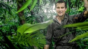 Bear Grylls: Sztárok a vadonban kép