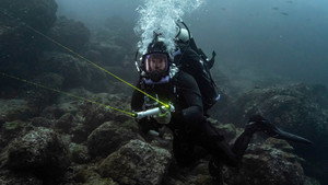 Shark with Steve Backshall 1. évad Ep.3 3. epizód