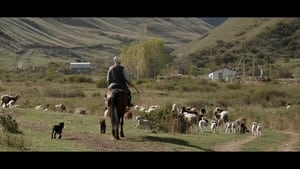 Wings of Kyrgyzstan háttérkép