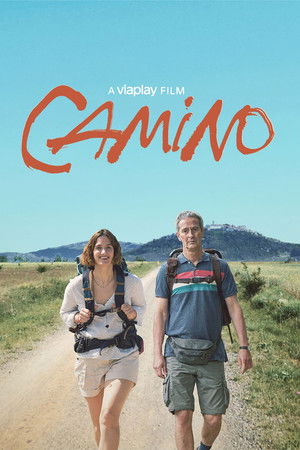 Camino poszter