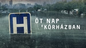 Öt nap a kórházban kép