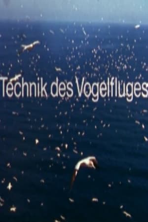 Technik des Vogelfluges