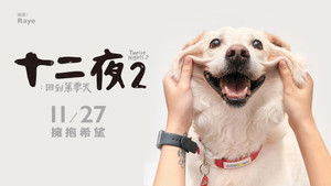 十二夜2：回到第零天 háttérkép