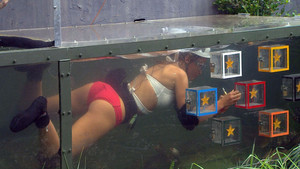 I'm a Celebrity...Get Me Out of Here! Season 13 Ep.17 17. epizód