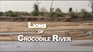 Lions of Crocodile River háttérkép