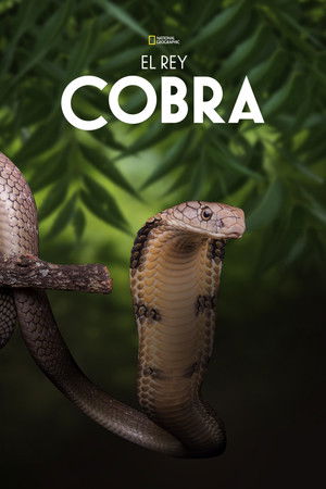 Secrets of the King Cobra poszter