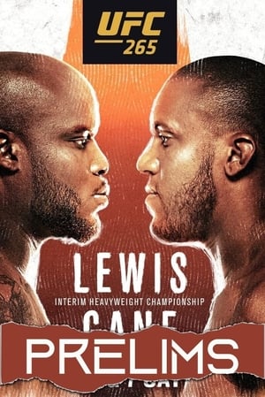 UFC 265: Lewis vs. Gane poszter