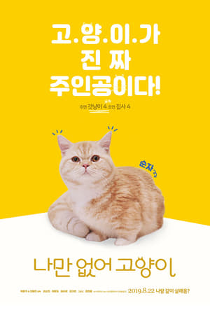 나만 없어 고양이 poszter