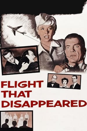 The Flight That Disappeared