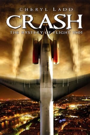 Crash: The Mystery of Flight 1501 poszter