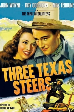 Three Texas Steers poszter