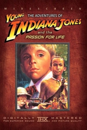 Az ifjú Indiana Jones: 02. Festői kalandok poszter