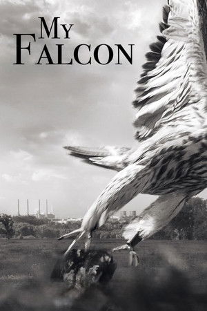 Mein Falke poszter