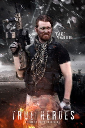 True Heroes poszter