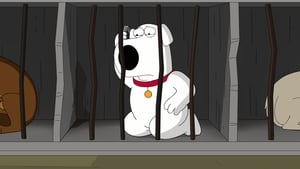 Family Guy 16. évad Ep.15 A Wall Street farkaskutyája