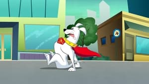 Krypto the Superdog 1. évad Ep.2 2. epizód