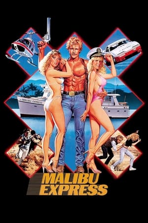 Malibu Express poszter