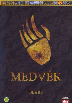 Medvék