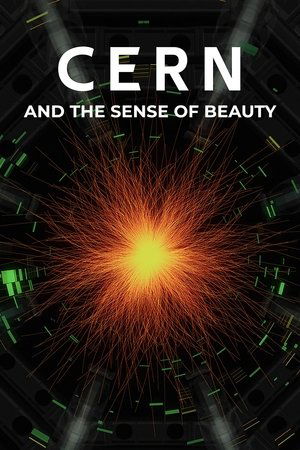 Il senso della bellezza - Arte e scienza al CERN poszter