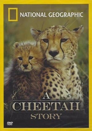 Cheetah Story poszter